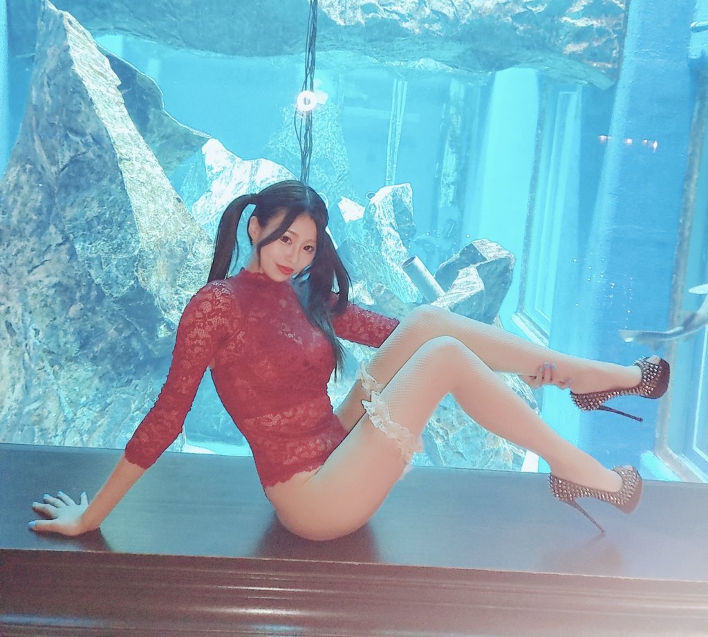 なみにゃん🐈‍⬛❤️‍🔥 (@Naminyan0706) / Posts / X