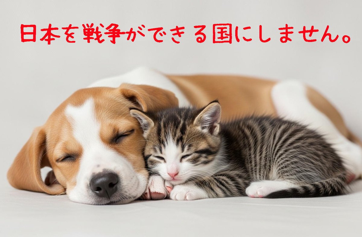 ららねね🖤🏳️‍🌈🏳️‍⚧️ (@lala_no_nene) / Posts / X