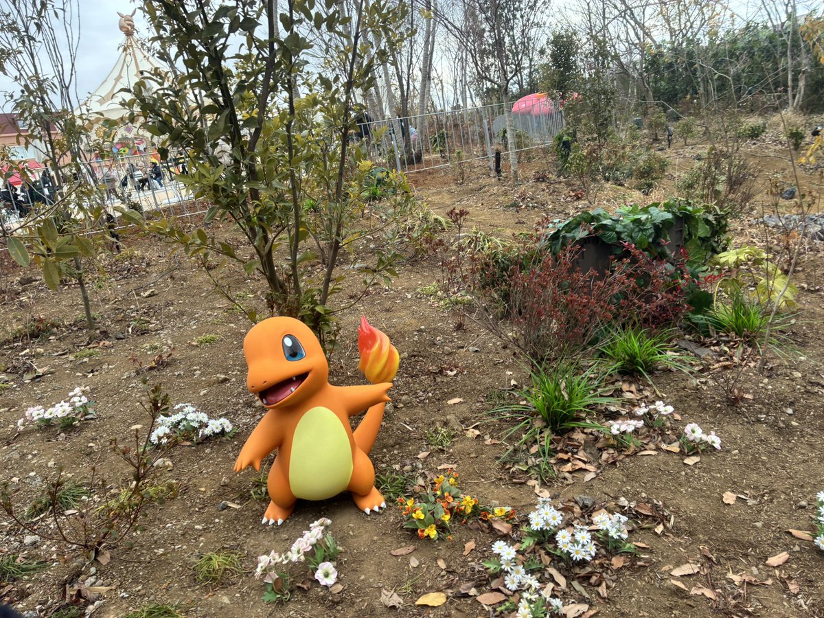 リザードン #ポケパークカントー