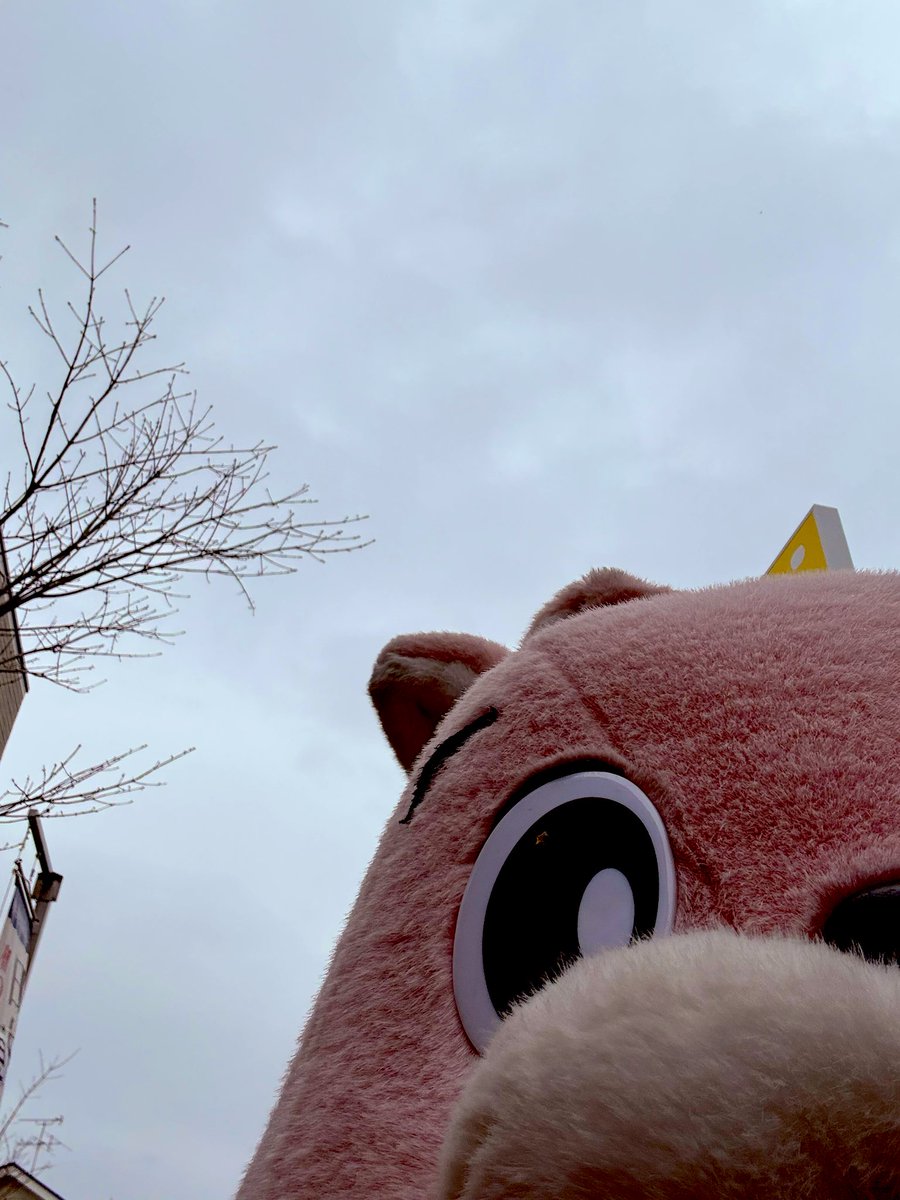 うさきち【公式】USAKICHI (@go_go_usakichi) / Posts / X