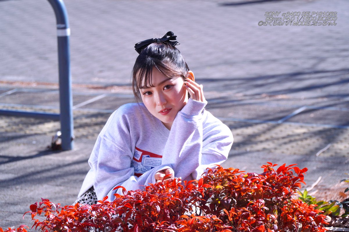 なっちゃん ⑯20260111(青海南ふ頭公園他) (@nachan__64) まだまだ続く