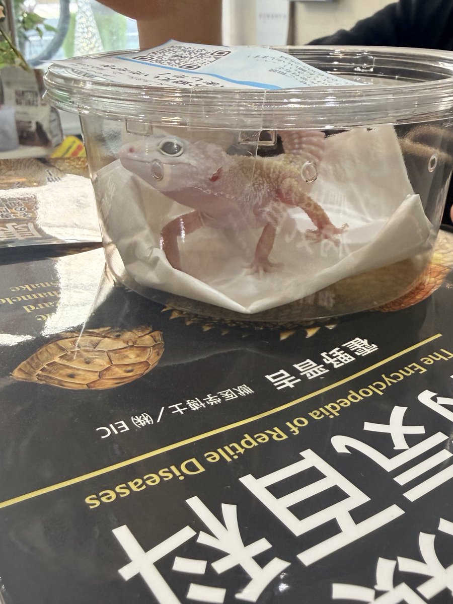 まさかの、、、 誕生日プレゼント🎁に ついに！念願の！ 迎え入れました♡