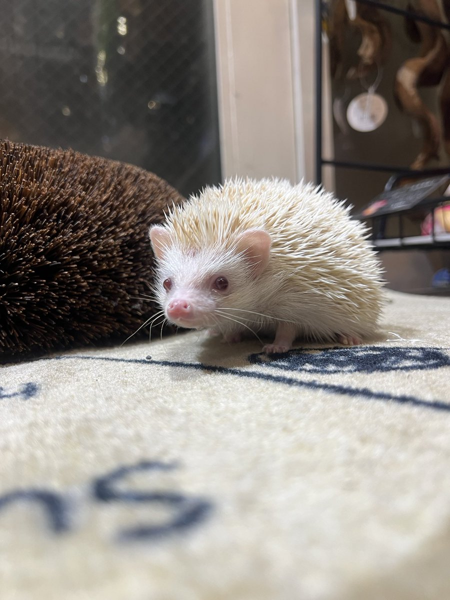 本日もご来店いただき誠にありがとうございました🙇 明日も13時〜19時