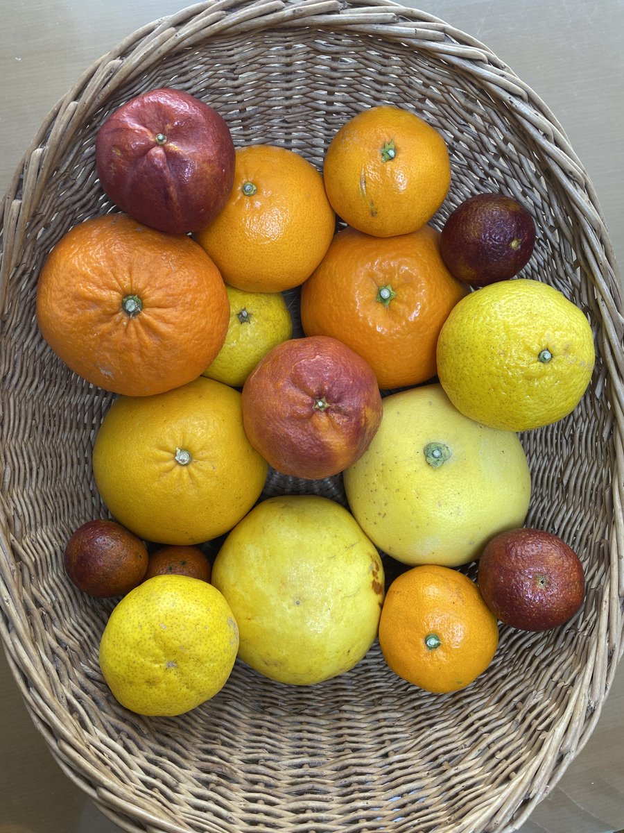 みかんノート (@mikanflavor1) / Posts / X