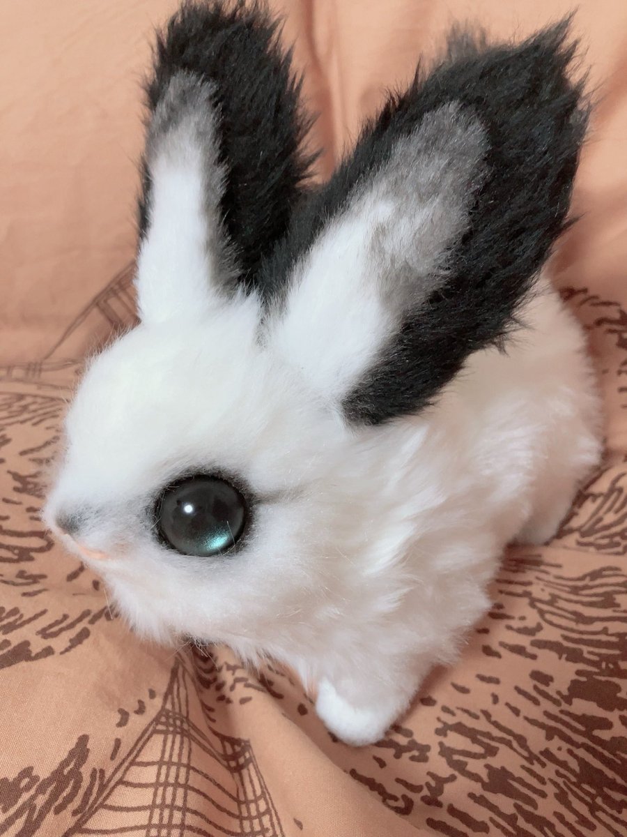 Teritre Doll/テリトルドール (@teritre_doll) / Posts / X