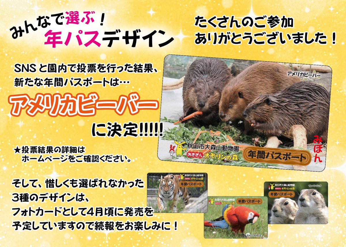 ぎゃーー欲しい！！！