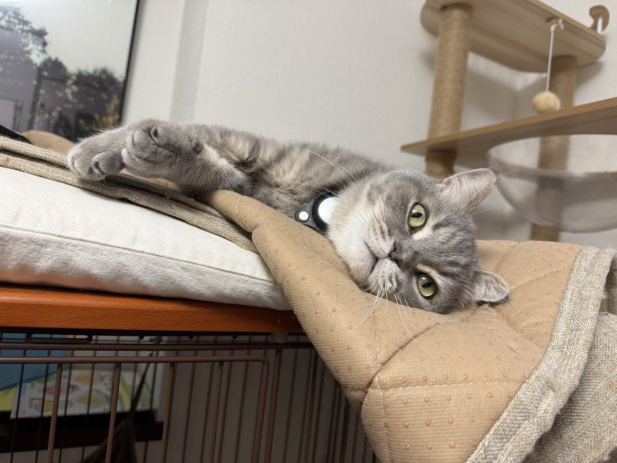 いわし先生 (@IWASHI_0723) / Posts / X