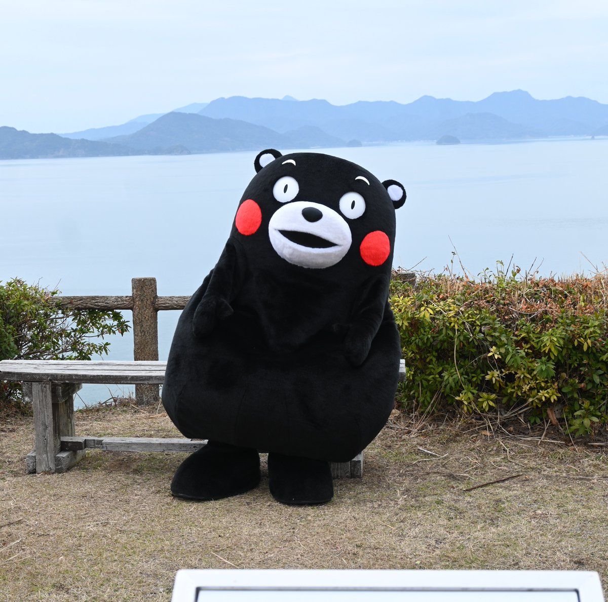 Post by Masashi Taniguchi on X: おはくまです。