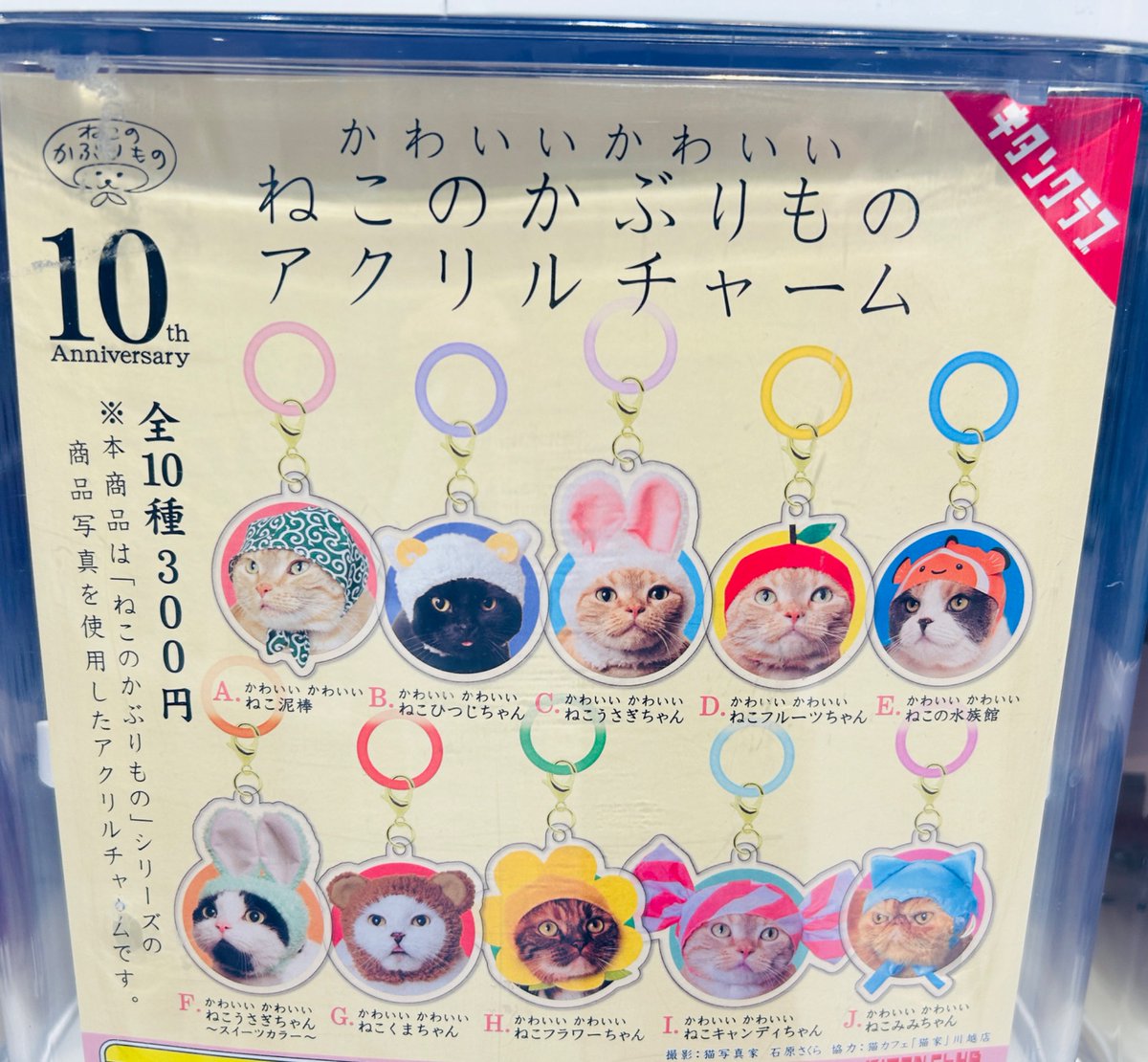 ✦✧✦━━━━━━━━✦✧✦ 🌞マルハン日野店🚛 ㊗️🎂2月周年月間