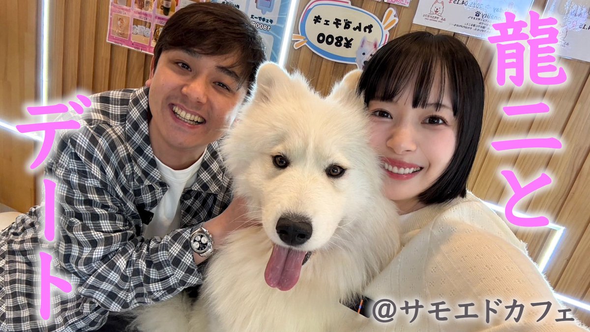 非常に仕上がってます。