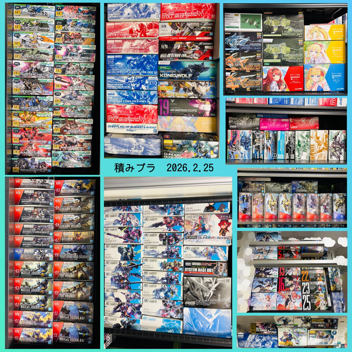 唐突の積みプラ紹介！ 美プラ作ってみたい！ってバカみたいに買った