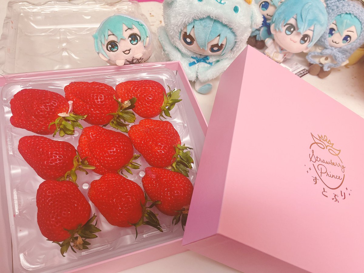 ころんくん こんばんは！ 「すとぷり」いちご届きました