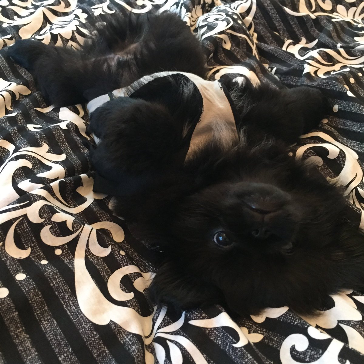 👈3ヶ月 9歳半👉