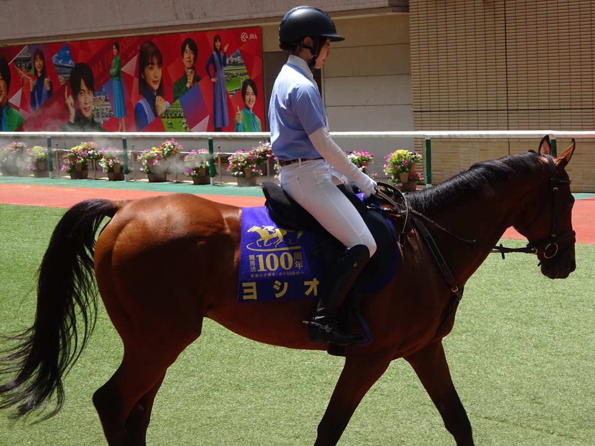 文字数調整したら文章おかしくなってしまった。誘導馬ヨシオが福島競馬