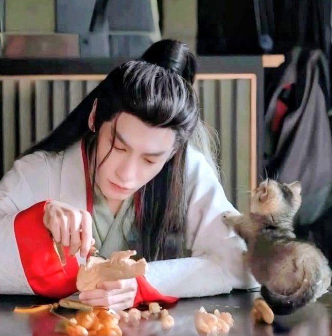 2月22日 ニャン・ニャン・ニャン🐈🐈🐈 猫の日〜😻🐾😻🐾😻🐾 #水龙