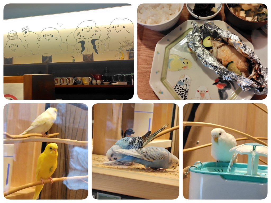 鳥フェス京都 初日大盛況 ありがとうございました！ お雛様は完売