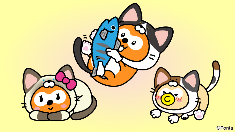 ネコさんのかわいさ研究中🧐 どの子がお好きですか？ 1⃣ ハチワレポン