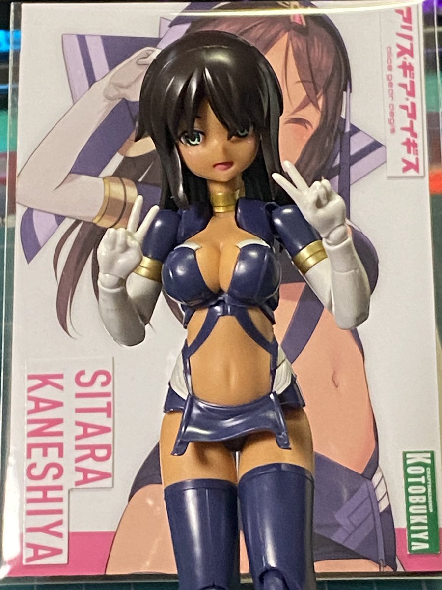 雉虎白龍＠ (@kizitorahakuryu) / Posts / X