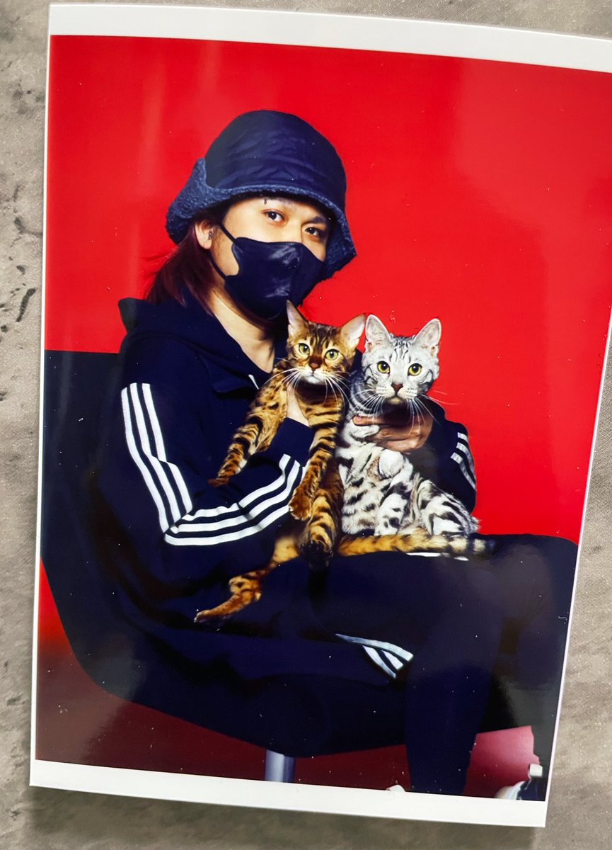 と言うわけで改めてうちのファミリーをご紹介します！因みになんと二人