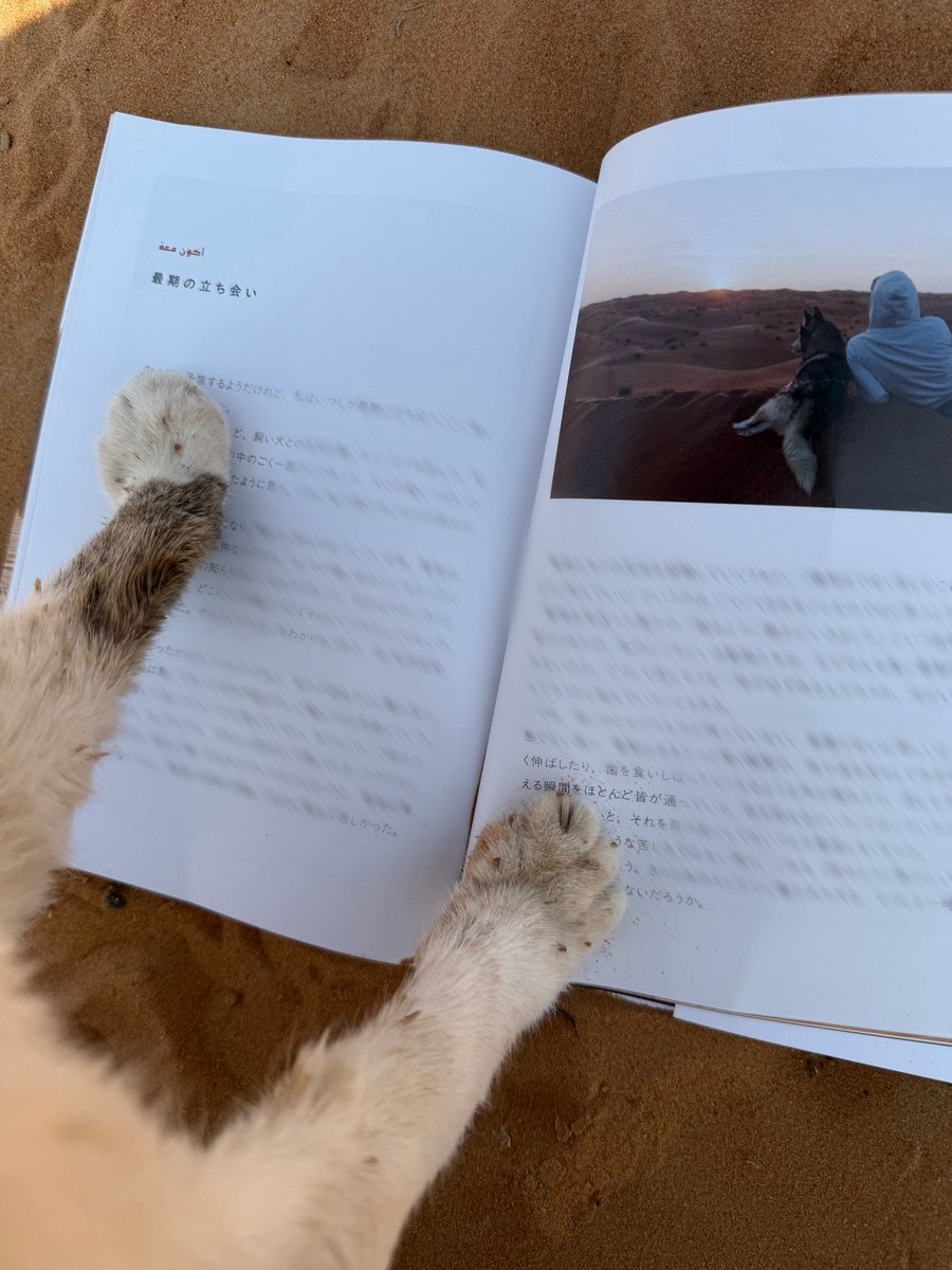 各子見出しのアラビア語はオットに考えてもらったもの。日本語を丸々