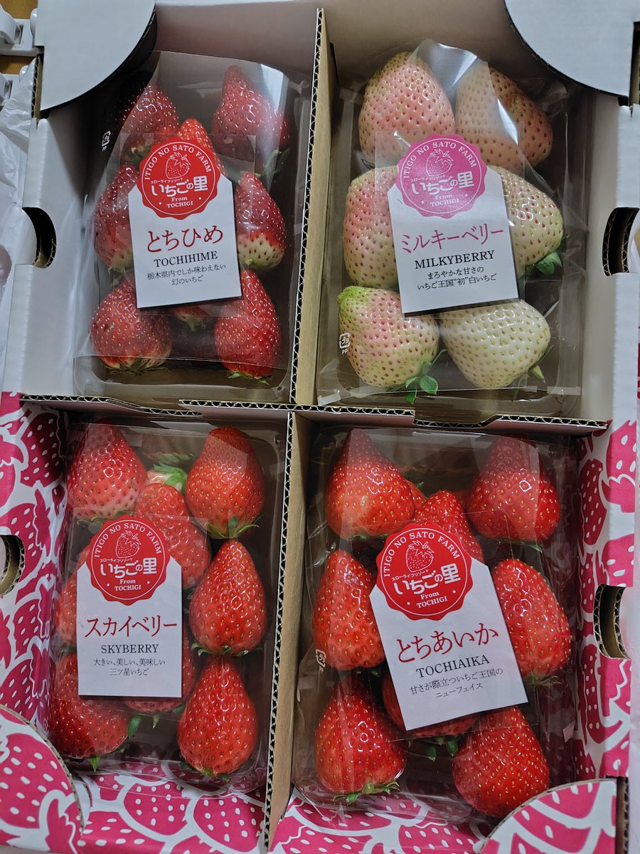 いちご🍓頂きました😊✨