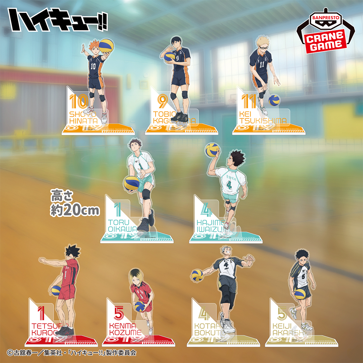 最大約20cmのビッグサイズ‼️／ 「ハイキュー!!」から、アクリル