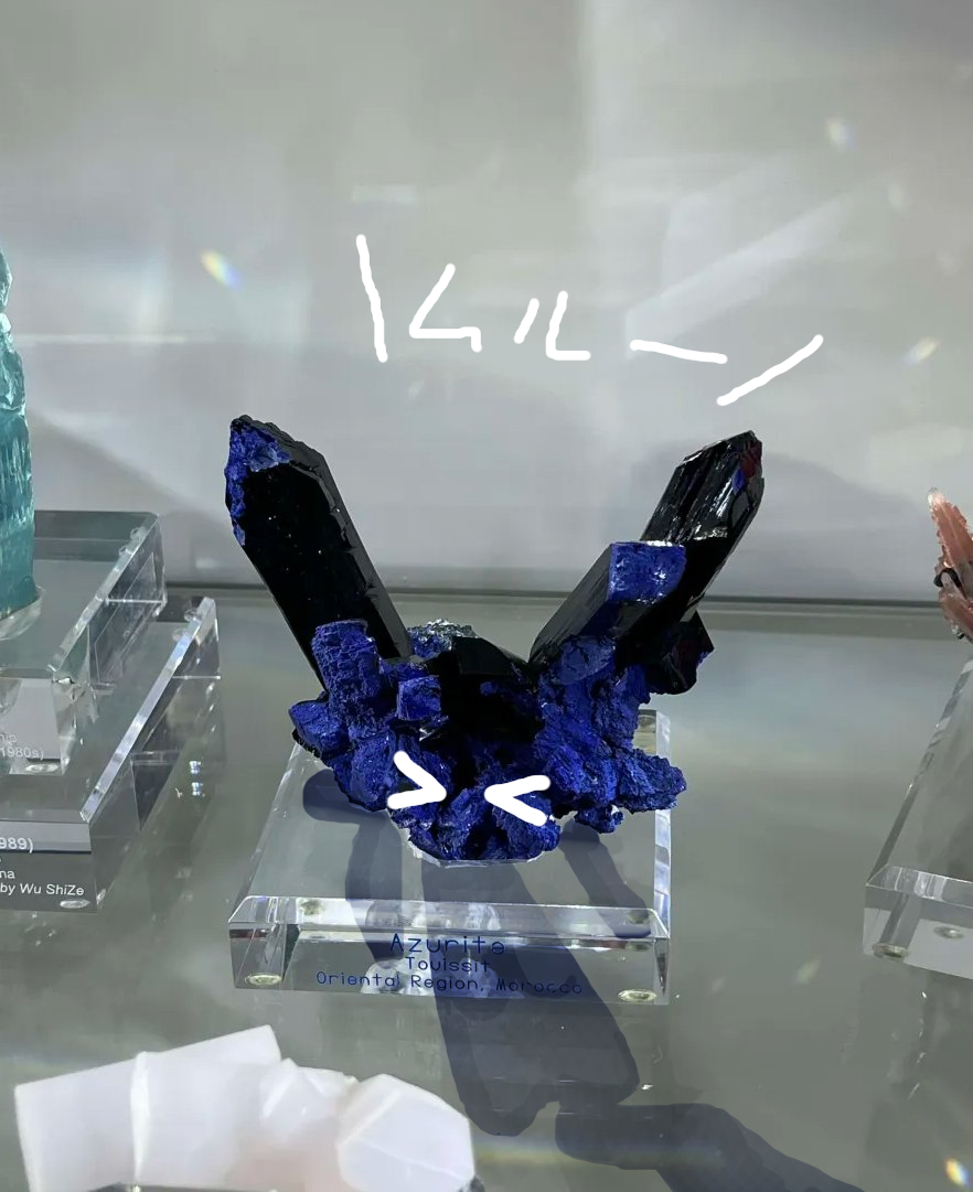 おもちのびる (@omochi_otoca) / Posts / X