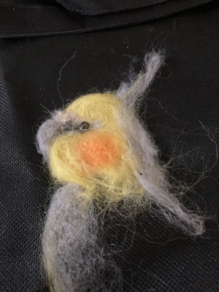 Post by （カリン） on X: 途中、、