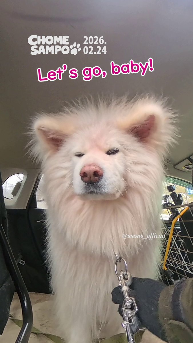 わさお公式 (@WASAO_official) / Posts / X