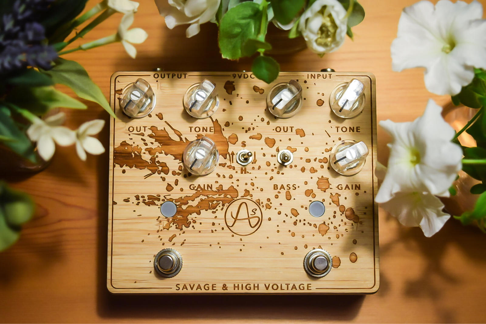 Anasounds SAVAGE&HIGH VOLTAGE -神獣ケンタウルスの遺伝子で俺の