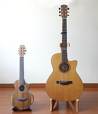 旅のお供は「Ibanez EWP14WB」 : アコースティックな風