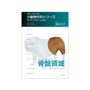獣医 カラーアトラス小動物外科シリーズ 胸部 カラーアトラス 小動物