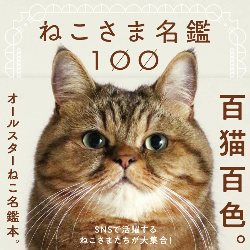 推しねこ”がきっと見つかる、オールスターねこ名鑑本『ねこさま名鑑100』