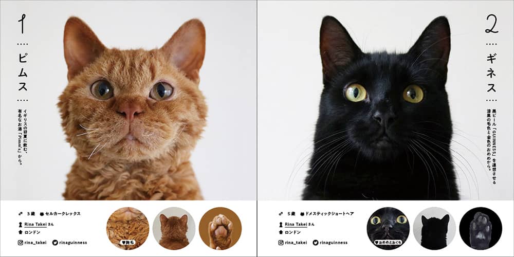 推しねこ”がきっと見つかる、オールスターねこ名鑑本『ねこさま名鑑100』