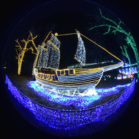 SIGMA(シグマ)のレンズ 8mm F4 EX DG CIRCULAR FISHEYE (ﾆｺﾝ AF) で