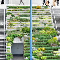 NIKON(ニコン)のレンズ AF-S DX NIKKOR 18-140mm f/3.5-5.6G ED VR で