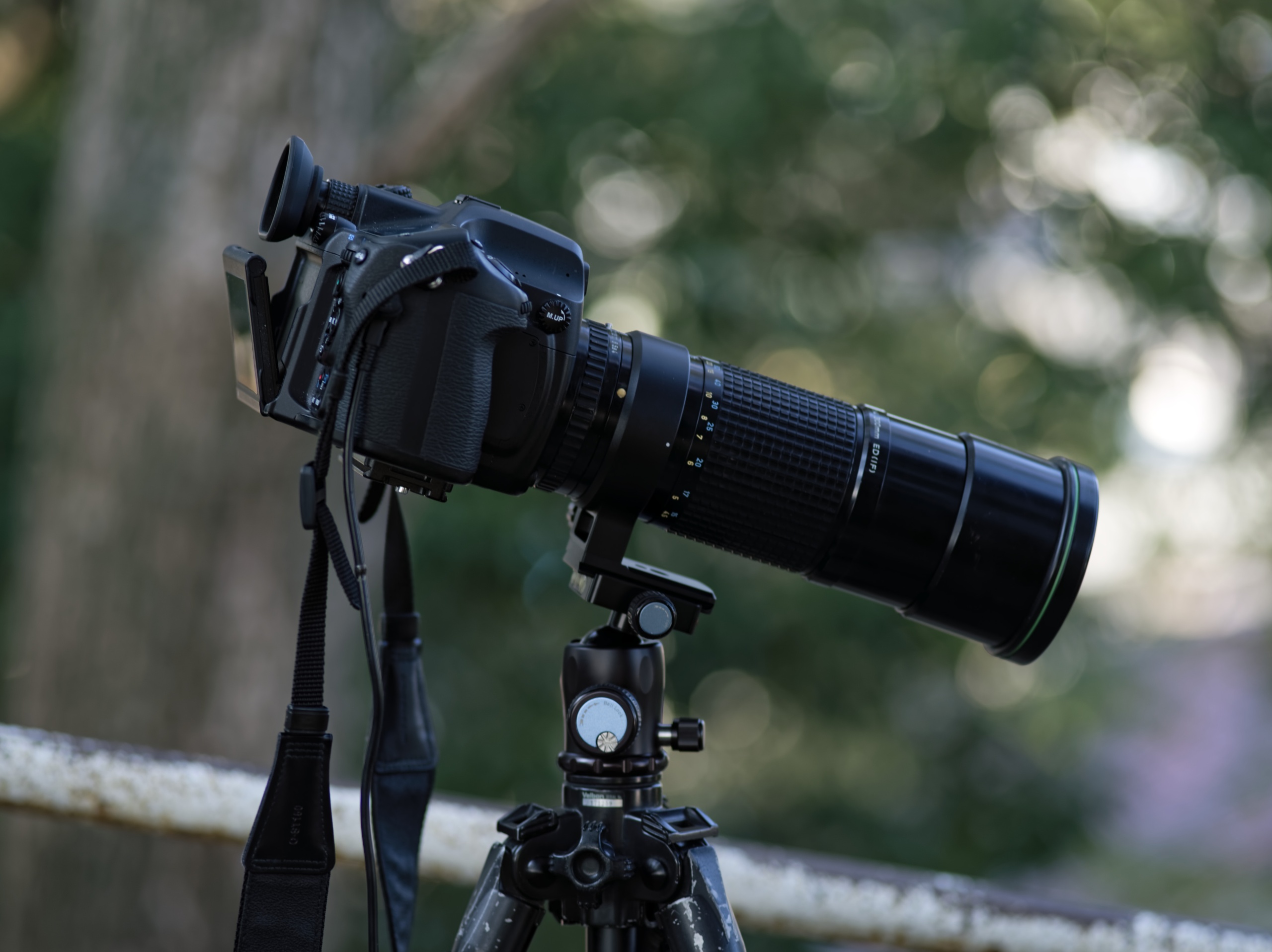 smc PENTAX-A☆ 645 300mm F4 ED [IF] – 超画伯の写真漂流記