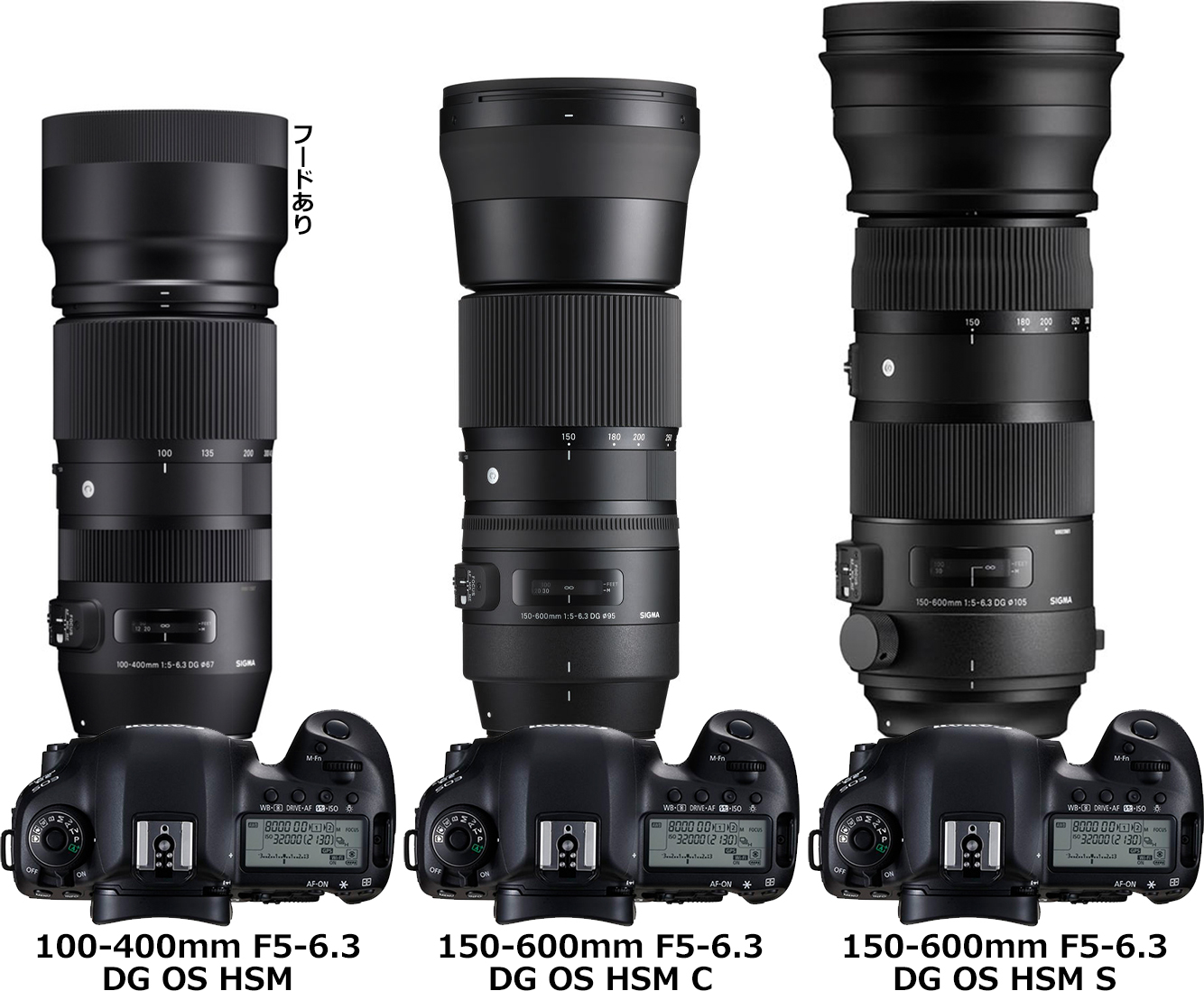 シグマ「100-400mm F5-6.3 DG OS HSM | Contemporary」と「150-600mm