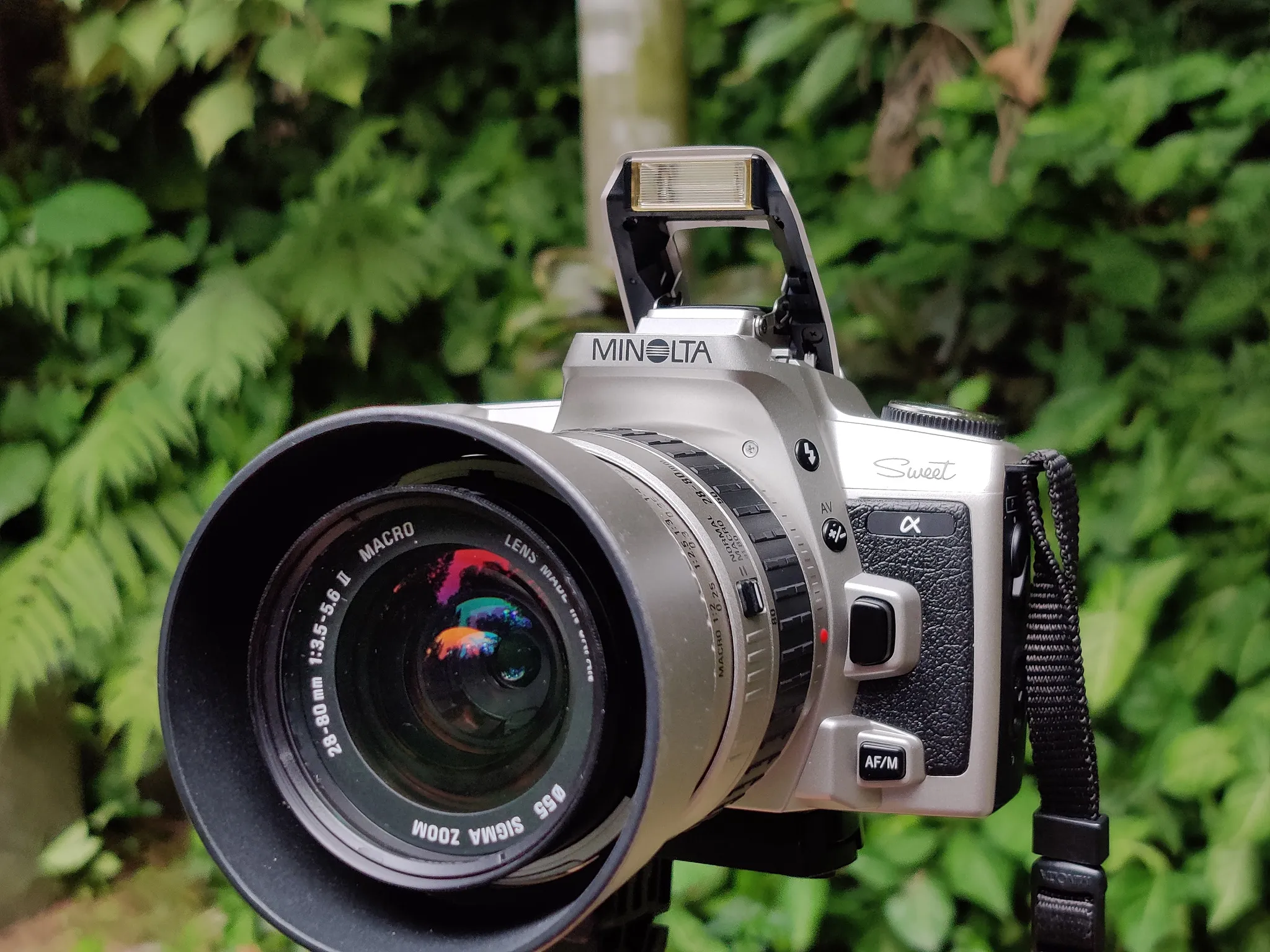 Minolta α Sweet | Gears | Photo by Tommy Ku