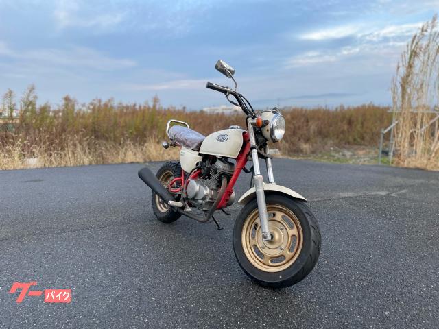 グーバイク】ミニバイク・「zx」のバイク検索結果一覧(1～8件)