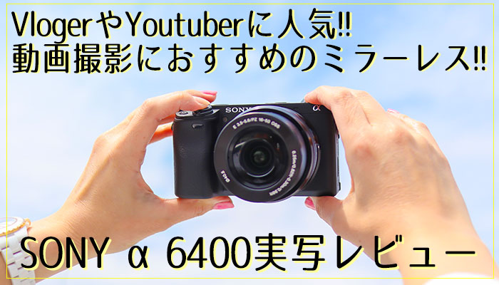 最新】コスパ最高のSONY α6400 (ILCE-6400) を実写レビュー | Picky's