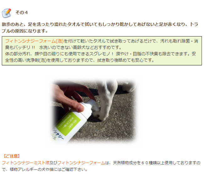 アジル株式会社 バイタルシャンプー 300ml | pixy.DOG