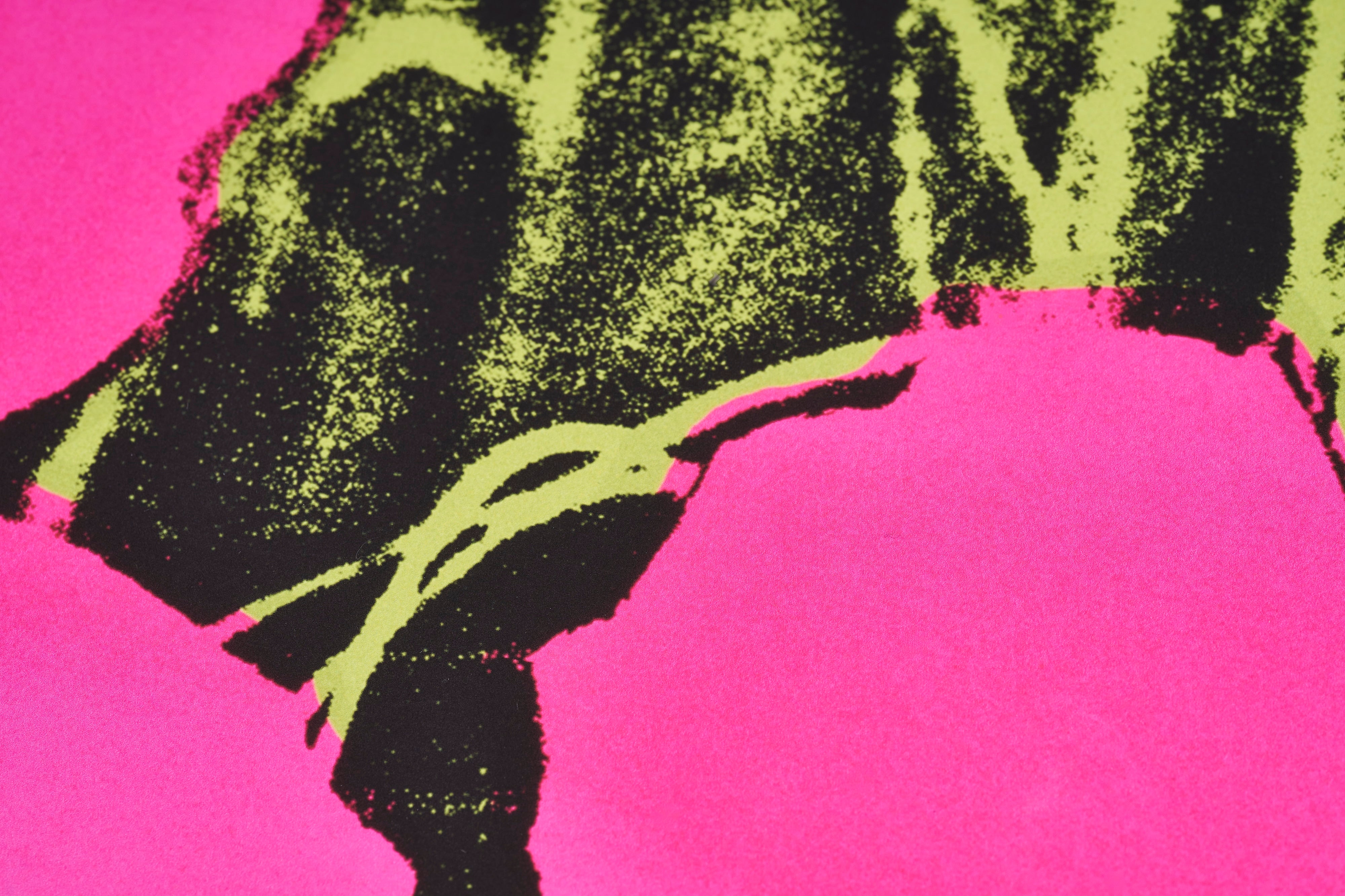 限定20枚】Flowers 1970 - McGAW GRAPHICS 2000s / アンディ