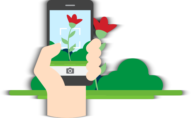 Plant.id - Plant identification app