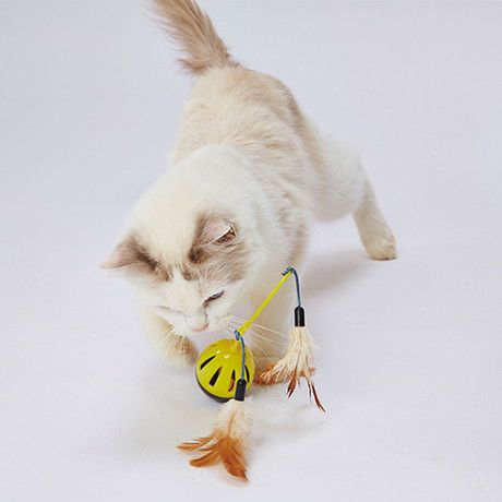 000000005100-02-l.jpg?t=