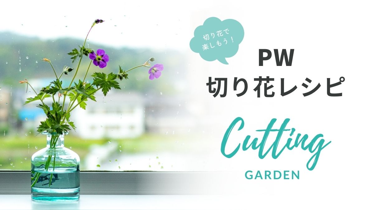 PW切り花レシピ | PROVEN WINNERS (PW)【植物の国際ブランド】