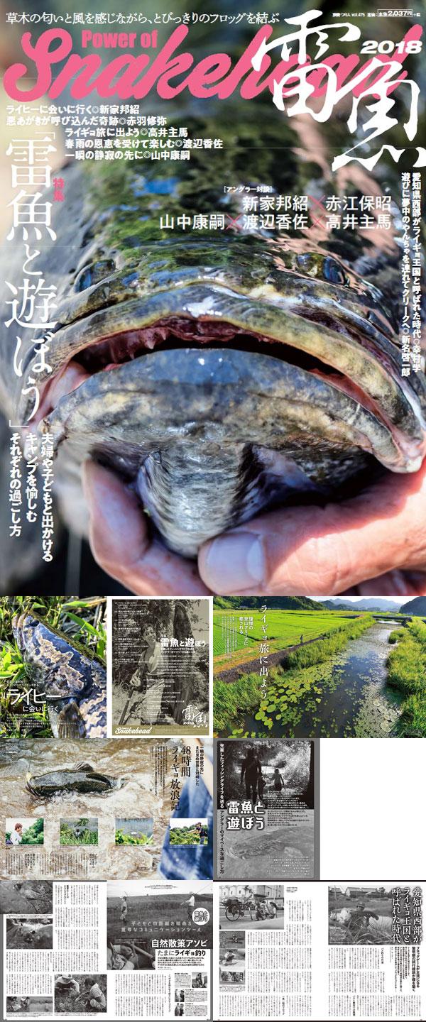 プロショップ藤岡 雷魚バス釣具通販＞SNAKE HEAD＞書籍