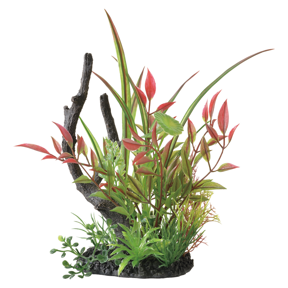 癒し水景 MIXプランツ ウッド ルドウィジア | ジェックス株式会社