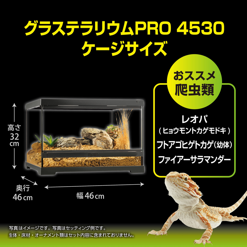 グラステラリウムPRO4530 PT4403 | ジェックス株式会社