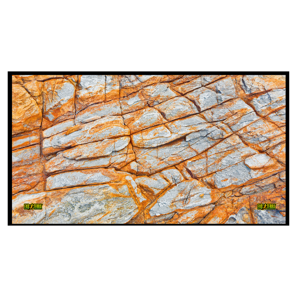 グラステラリウムPRO4530 PT4403 | ジェックス株式会社